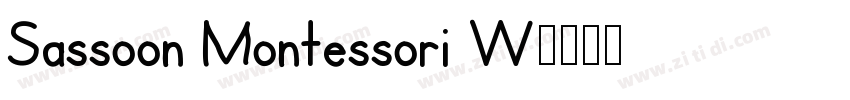 Sassoon Montessori W字体转换